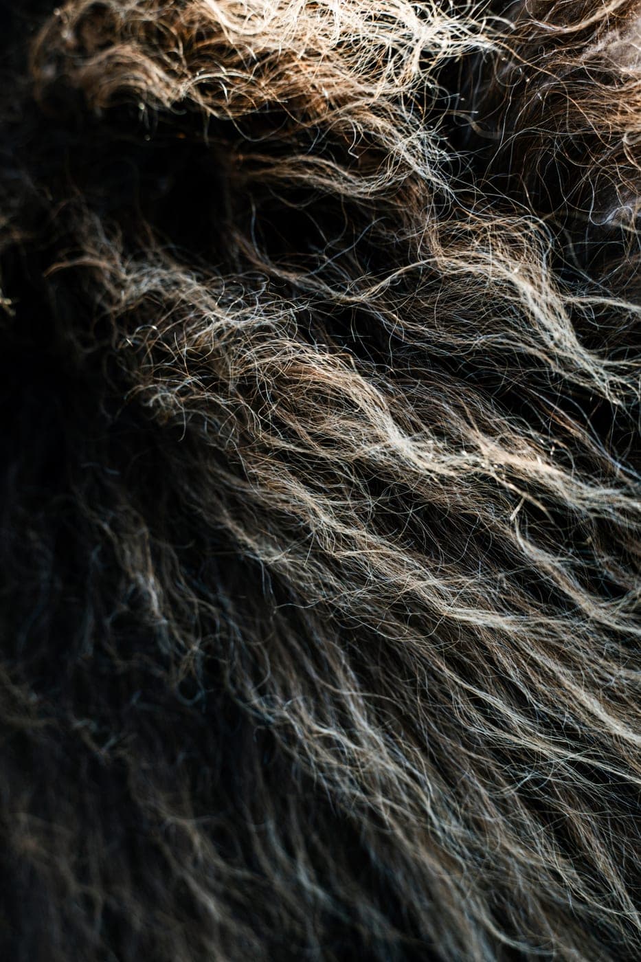 Musk ox wool up close