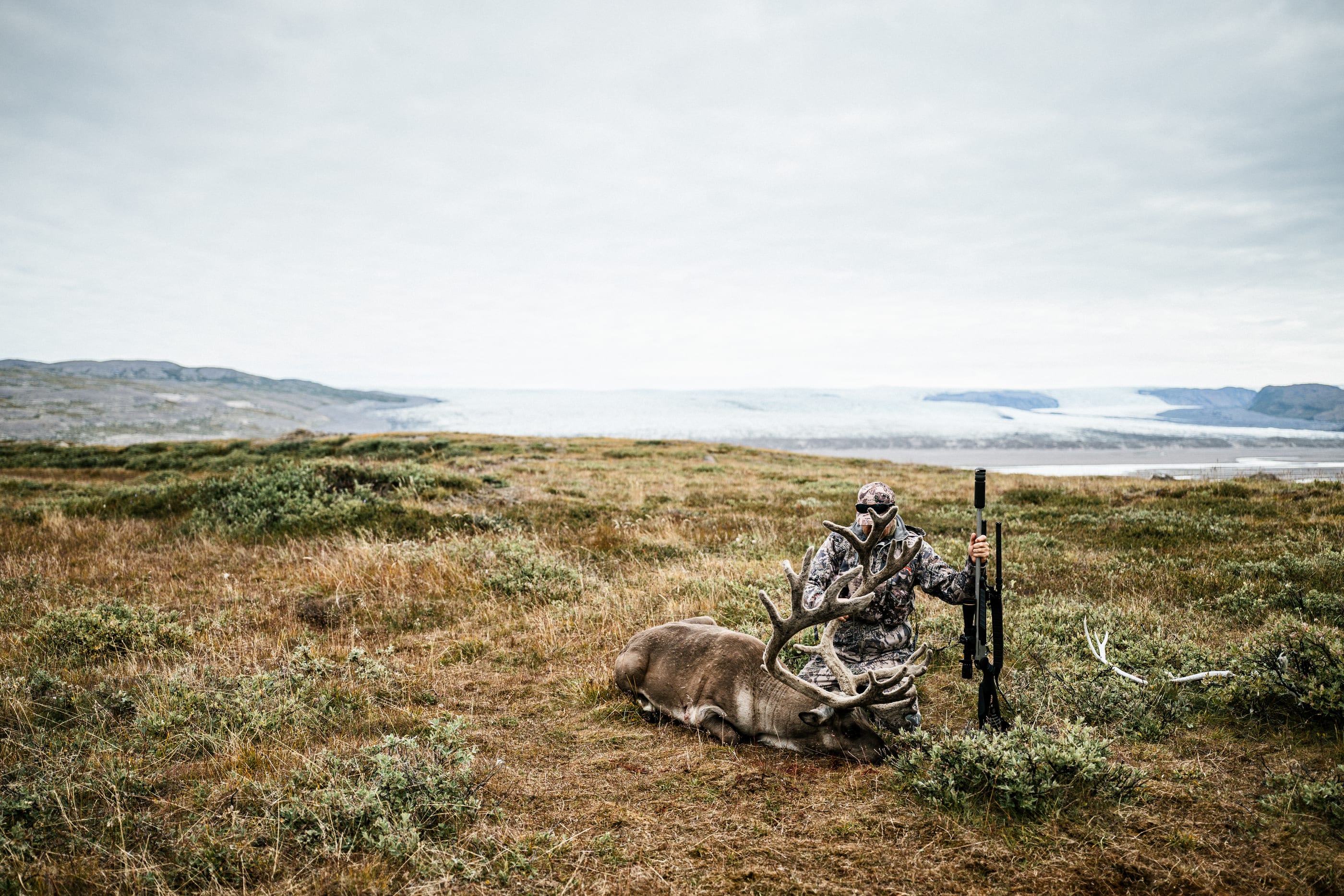 Hunter behind a caribou with large antlers in velvet
