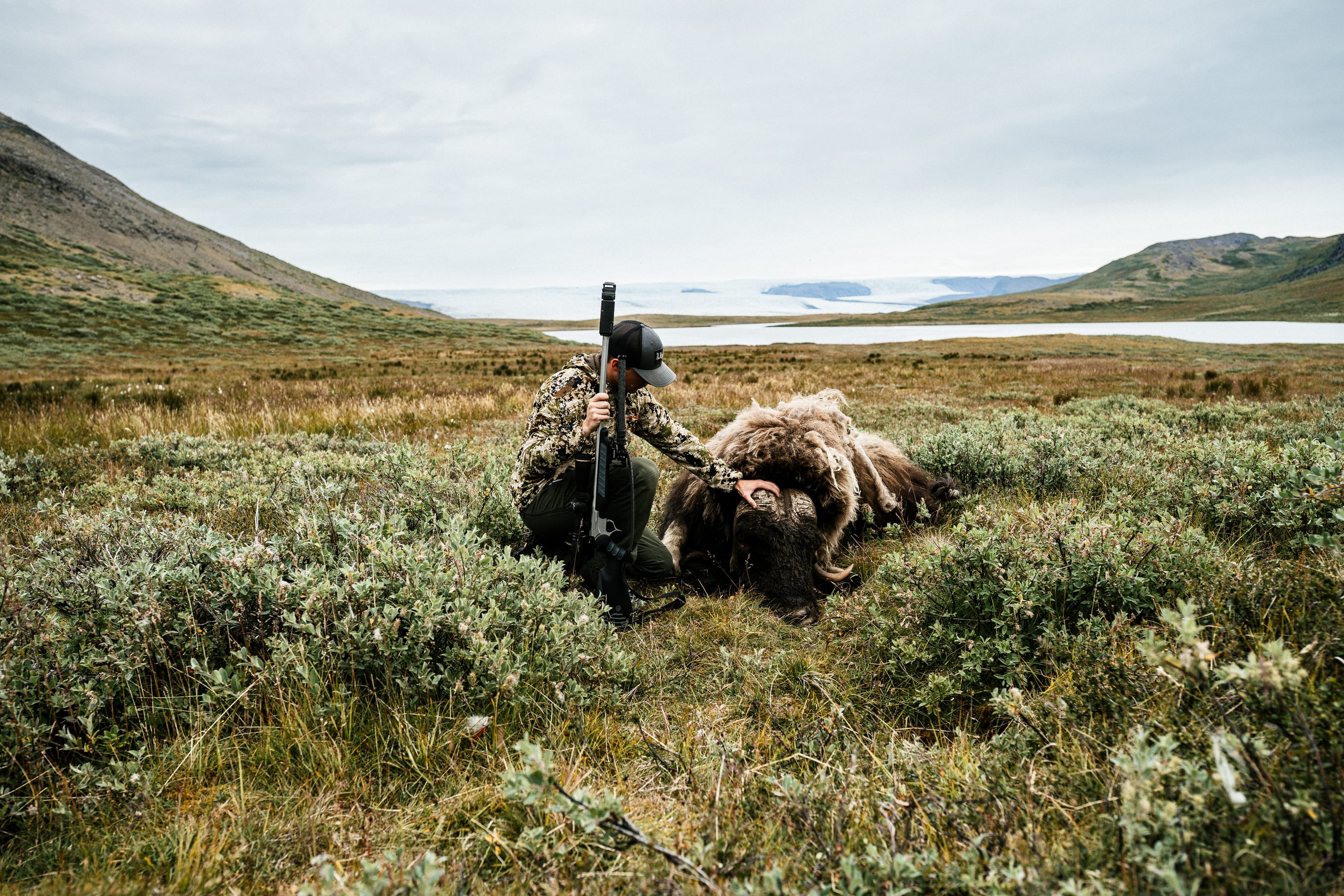 Hunter with rifle and musk ox on the tundra, with the ice sheet behind
